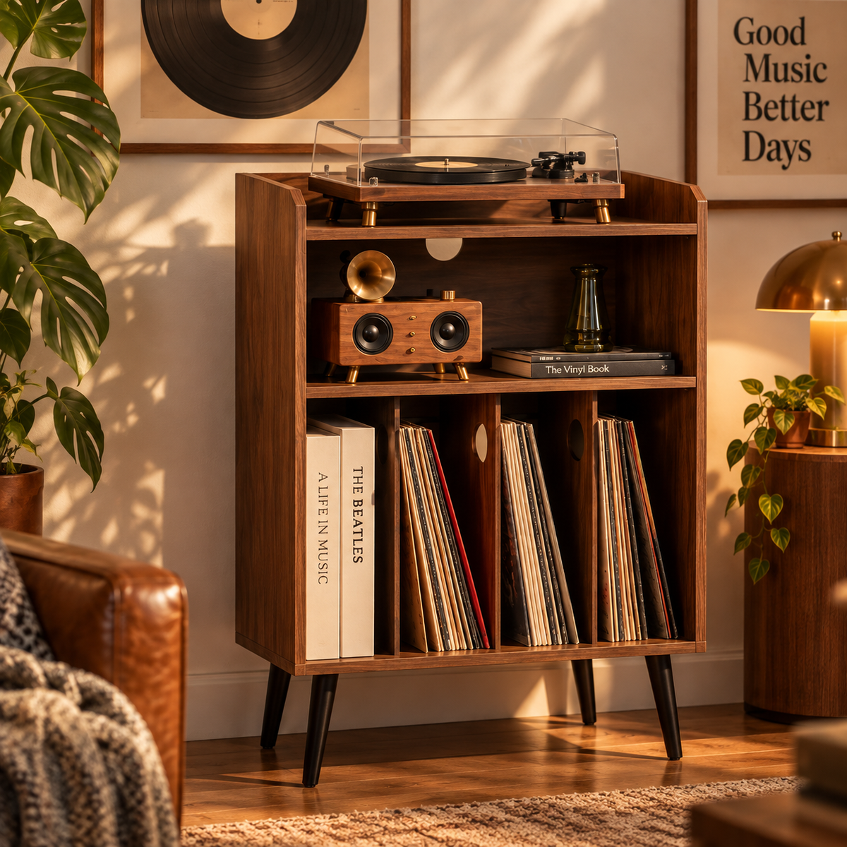 Meubles vinyles Image